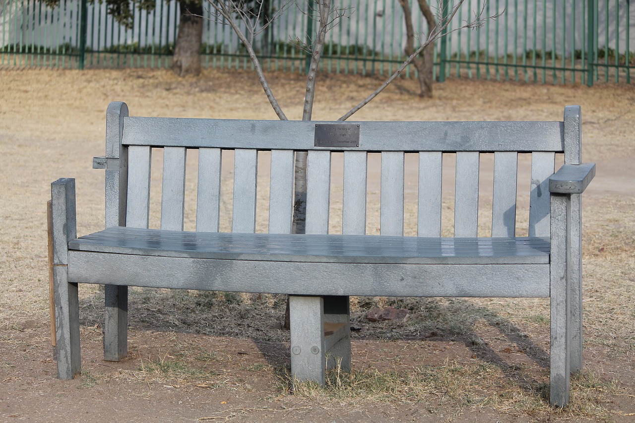 bench park seat sit free photo