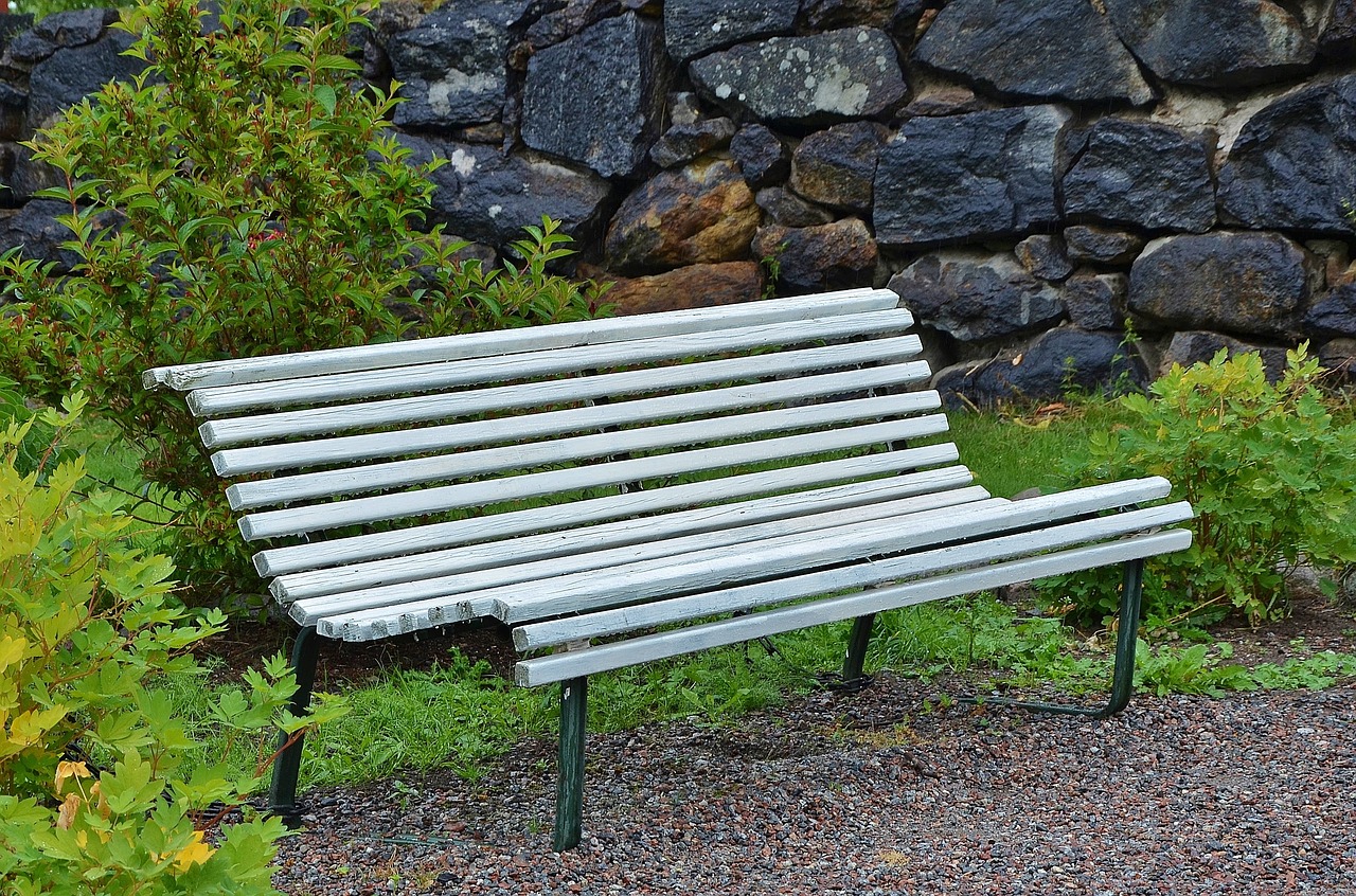 bench park sit free photo