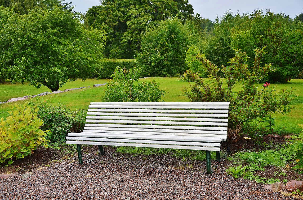 bench park sit free photo