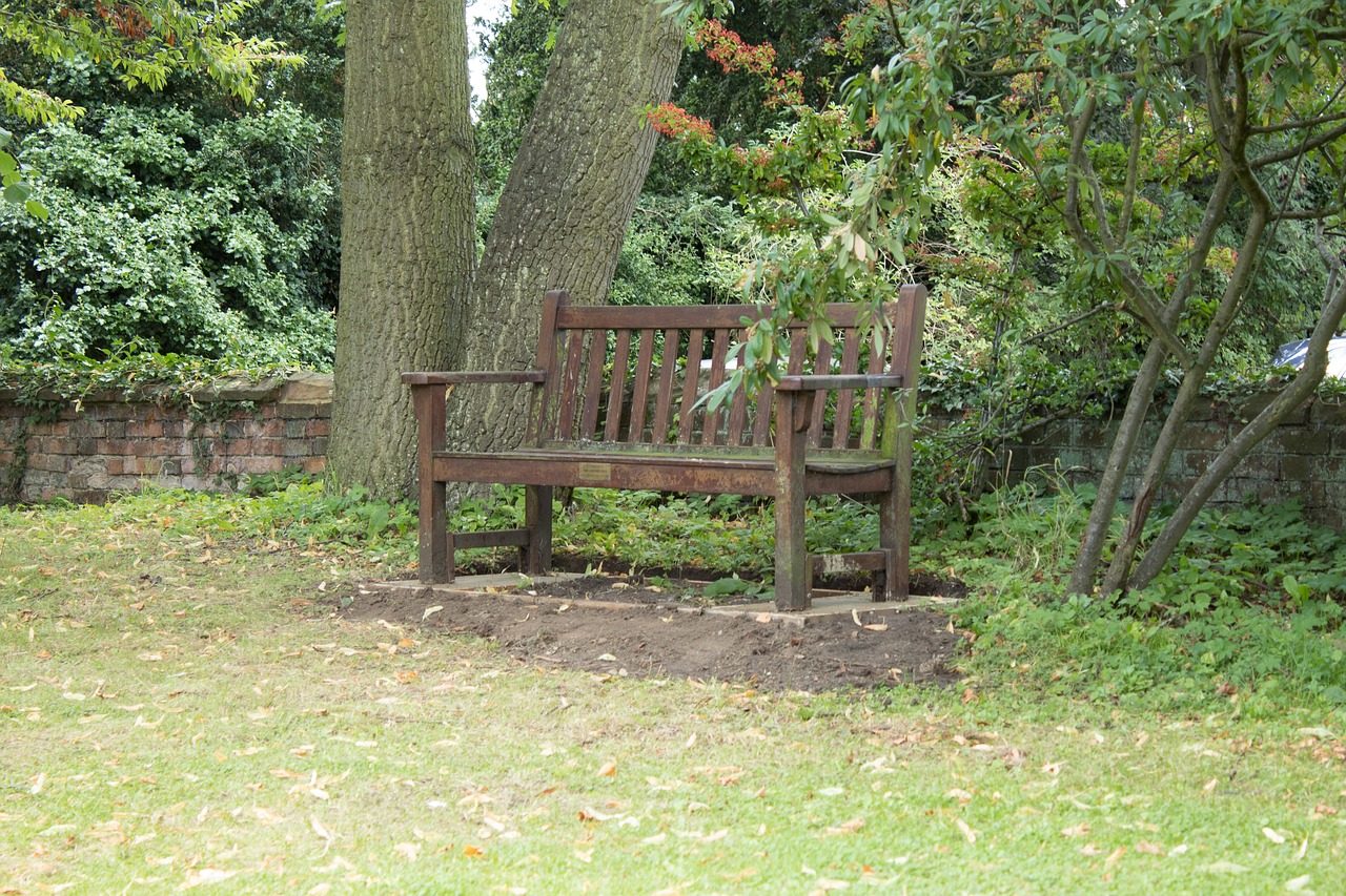 Download Free Photo Of Bench Empty Empty Bench Lonely Bench