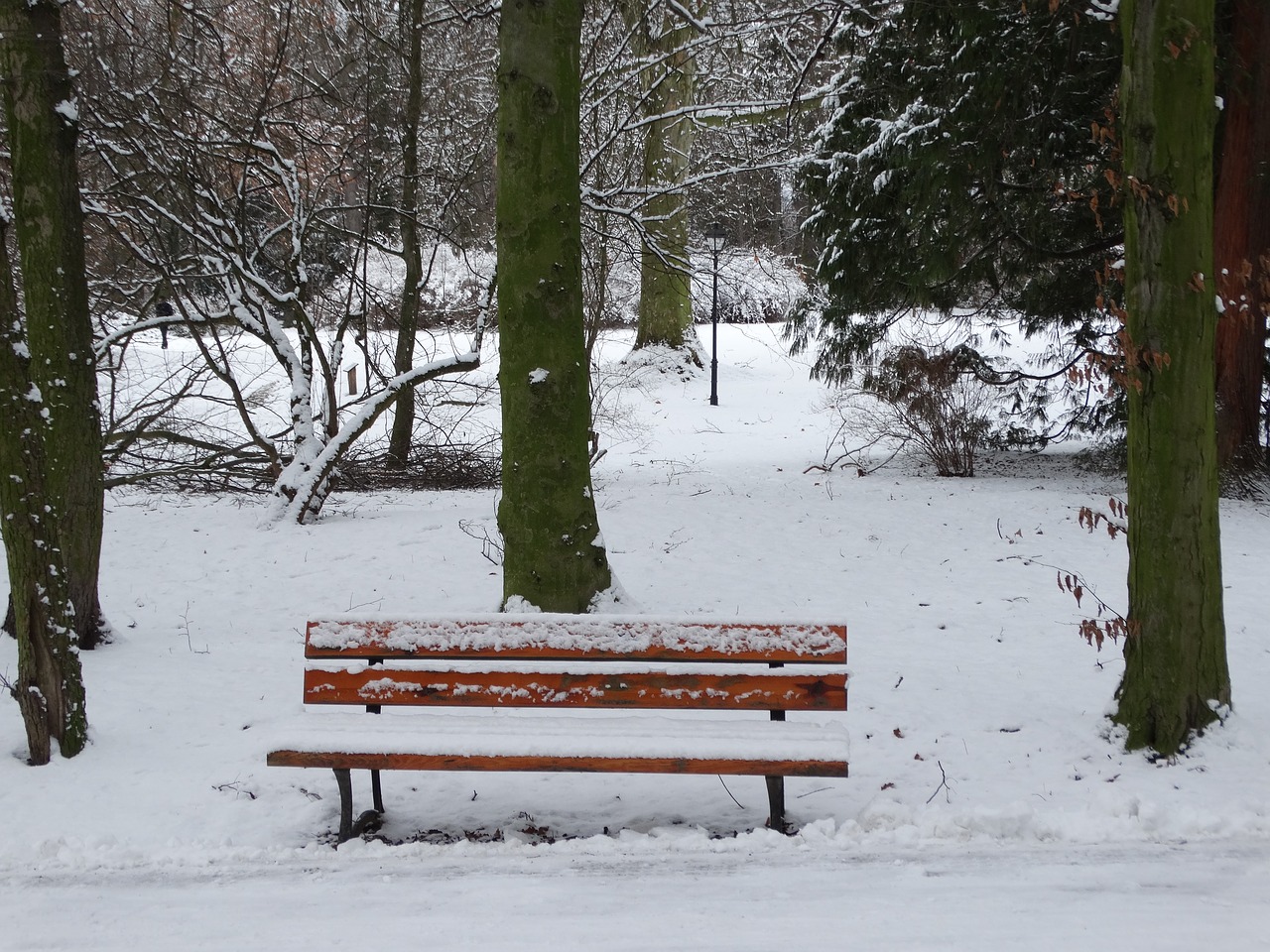 Скамейка в снегу