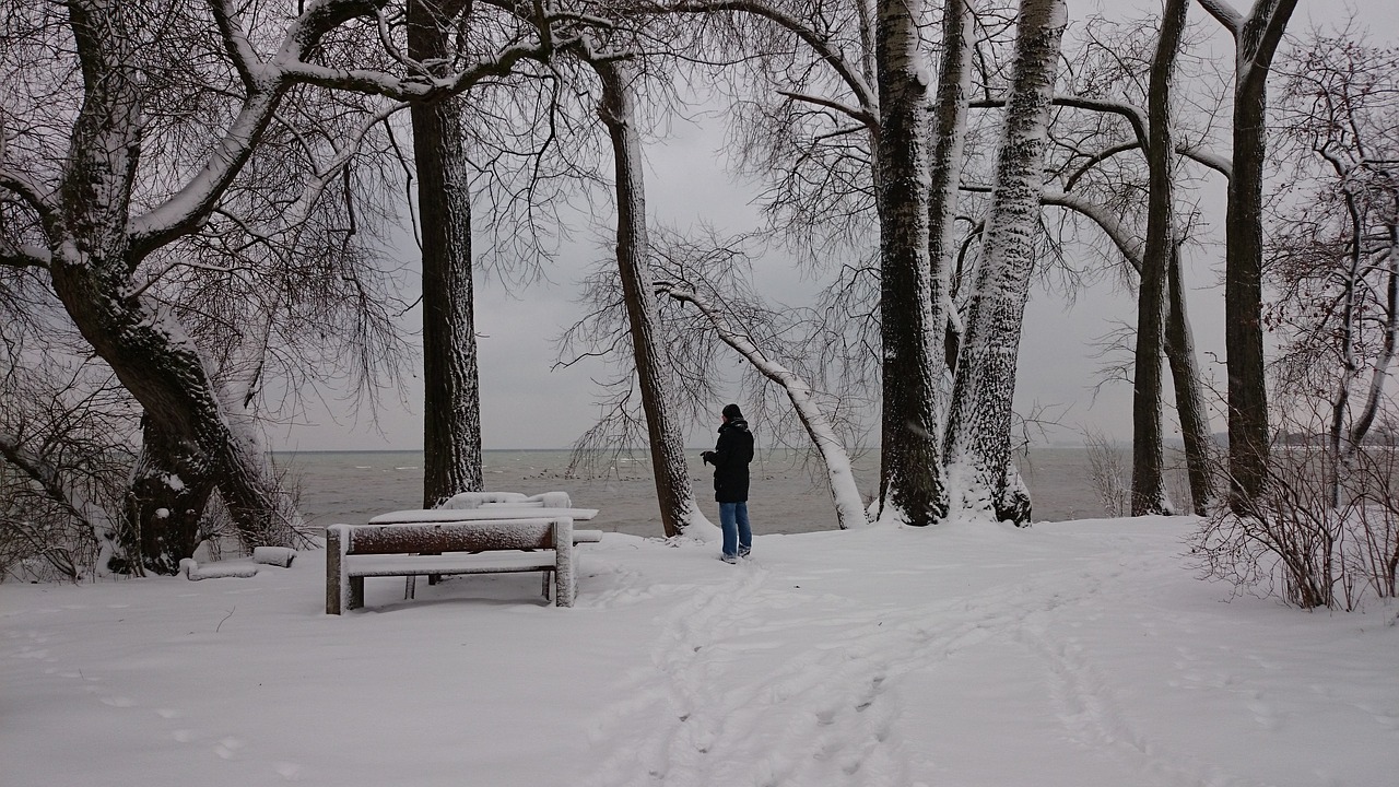 bench winter snow free photo