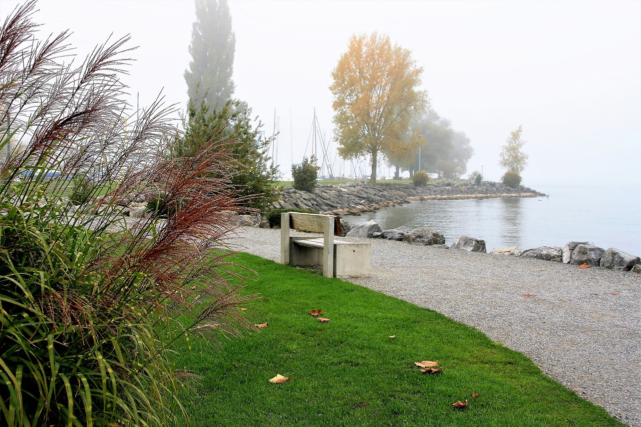 bench lake autumn free photo