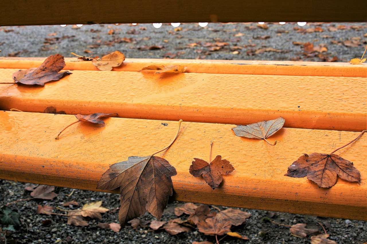 bench yellow autumn free photo