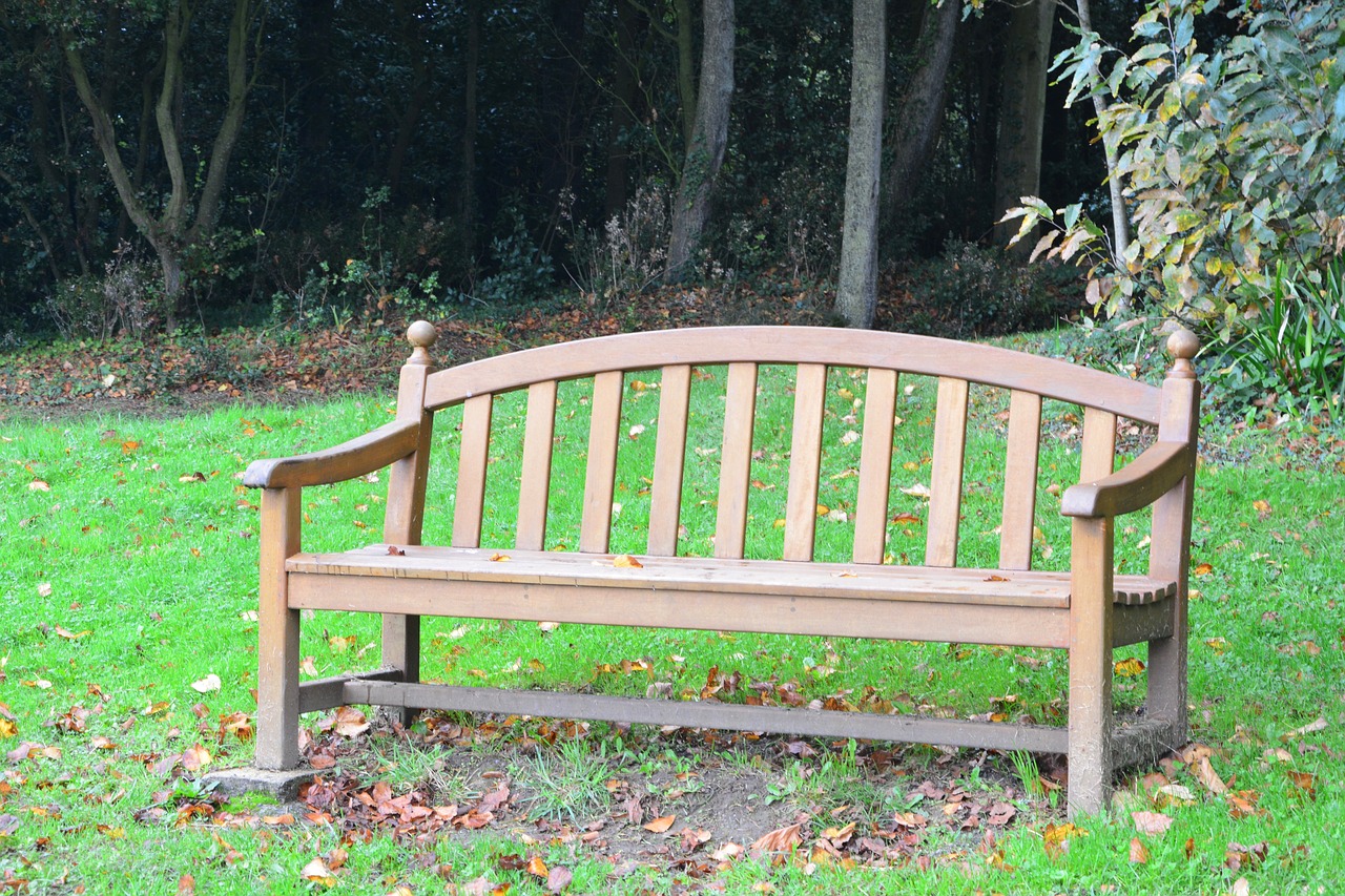 bench public bench bench wood free photo