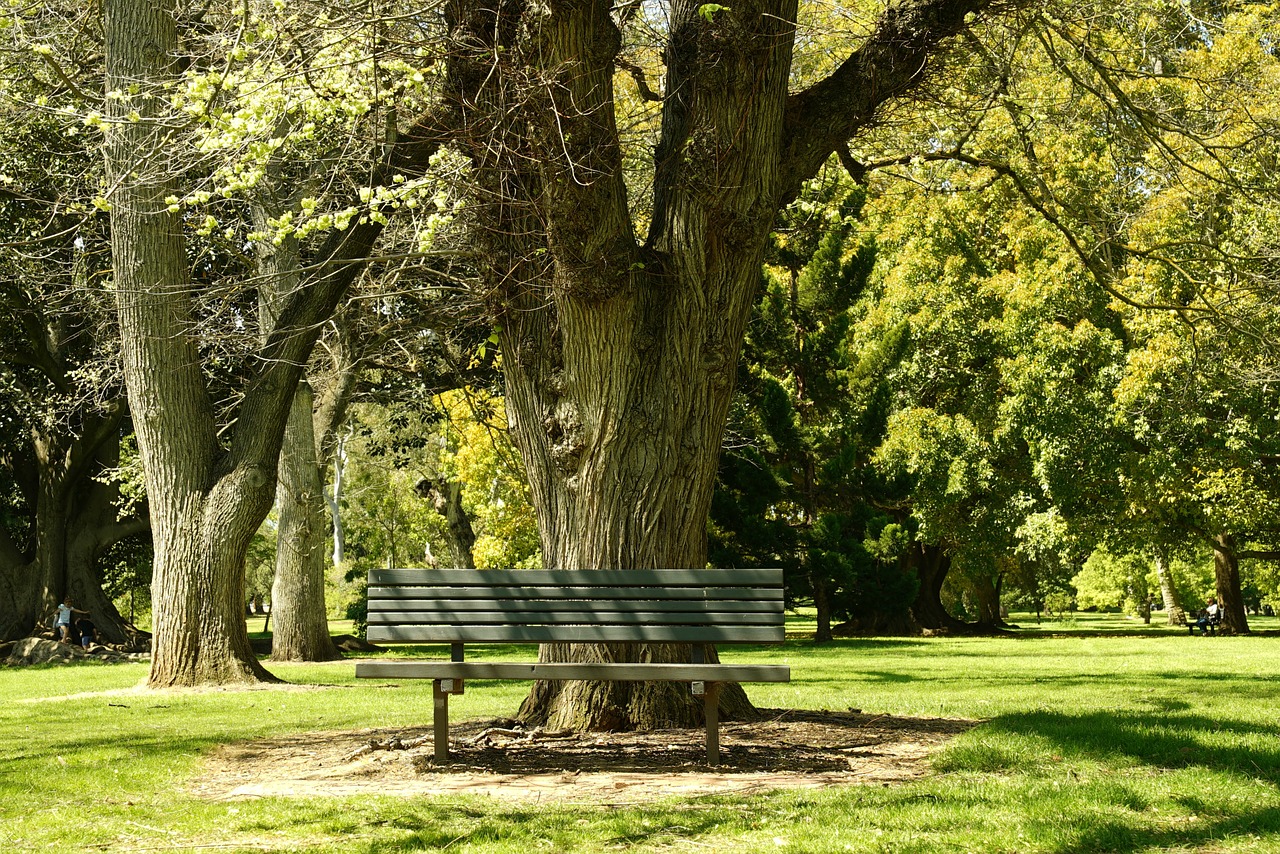 bench tranquillity park free photo
