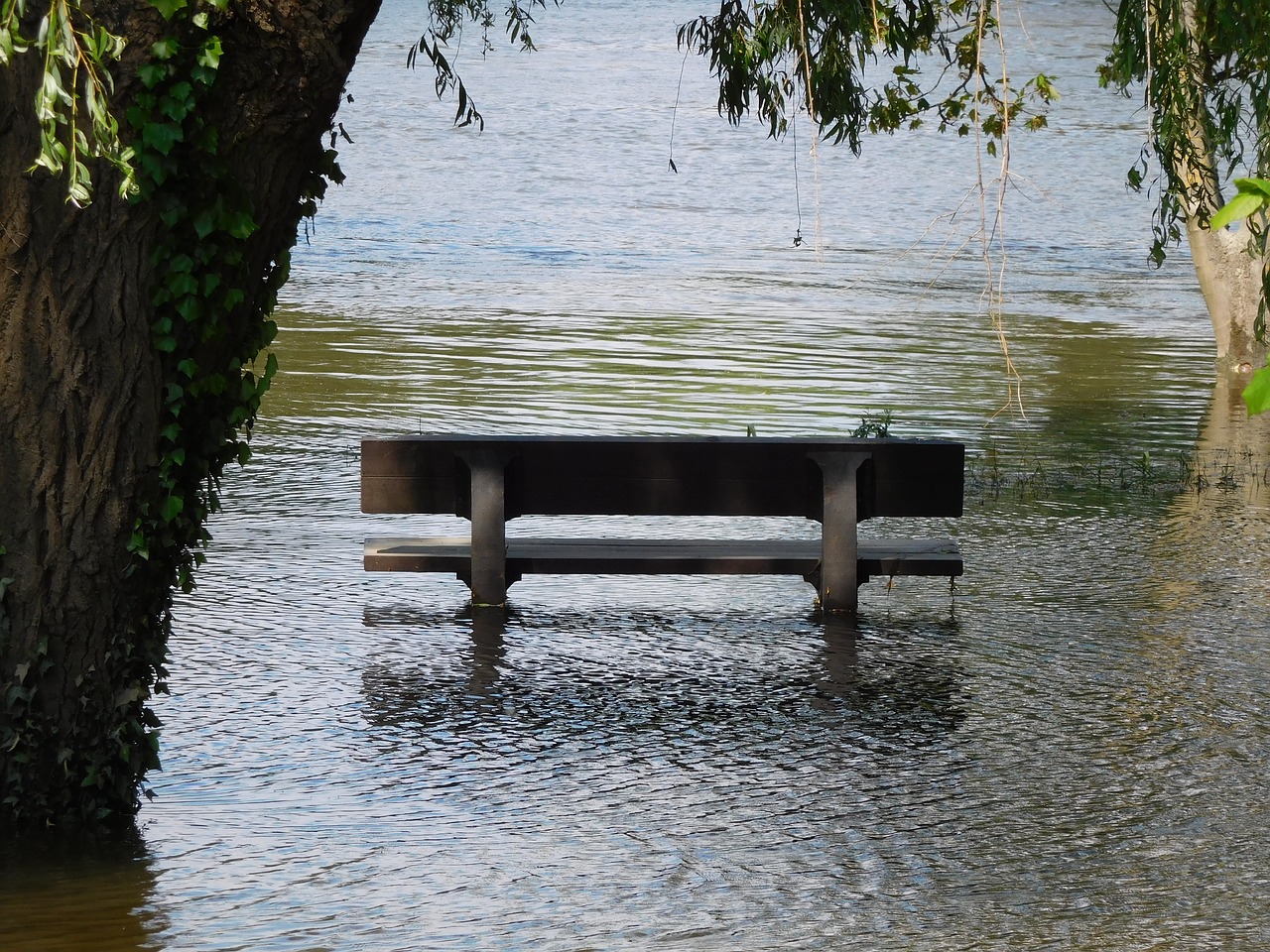 bench river flood free photo