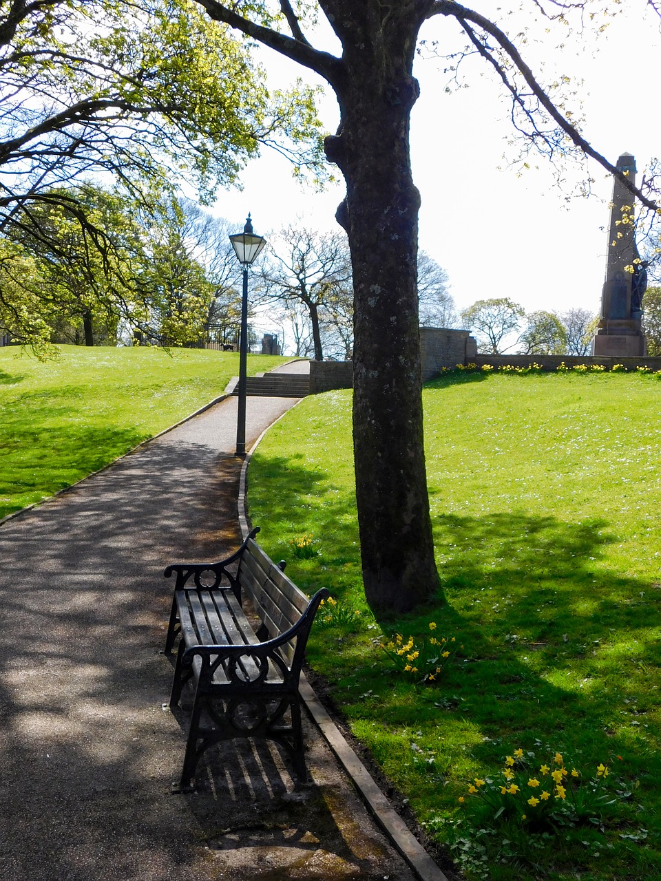 bench park bench wooden bench free photo