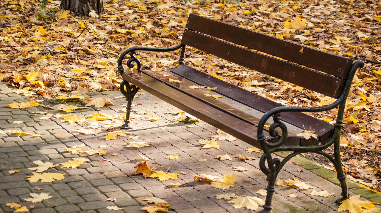 bench park autumn free photo