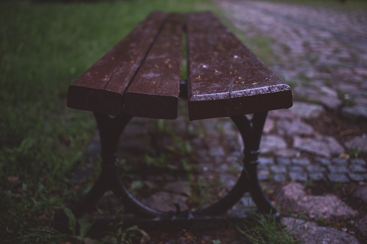 bench brown grass free photo