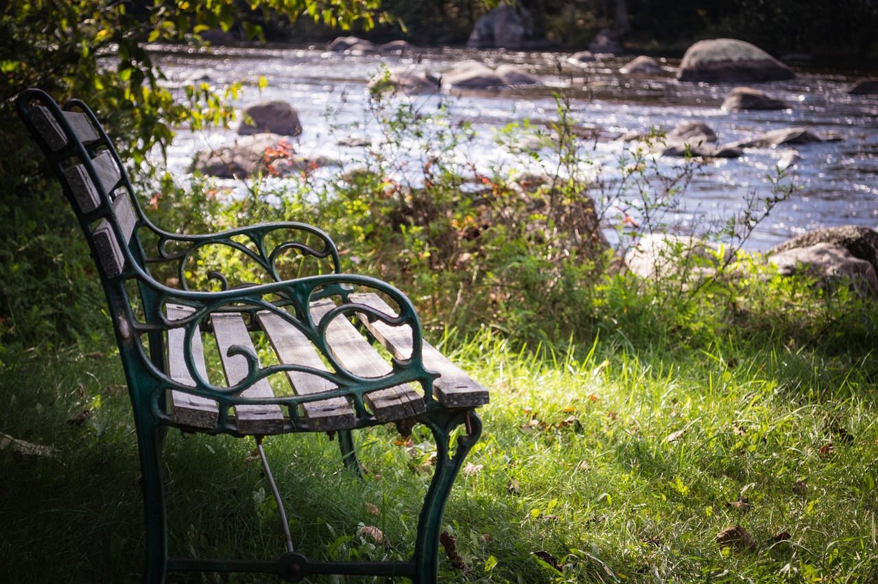 bench river water free photo