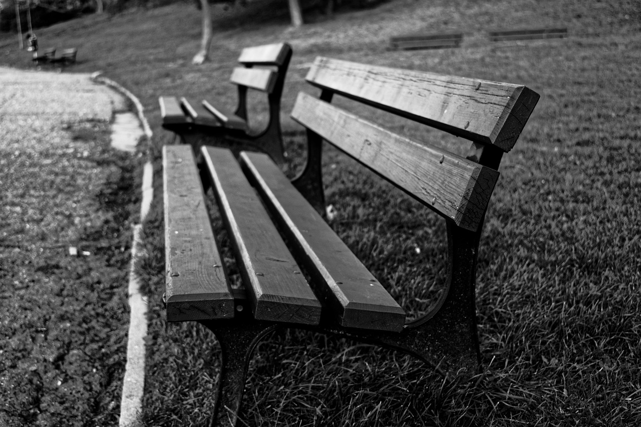 bench park park bench free photo