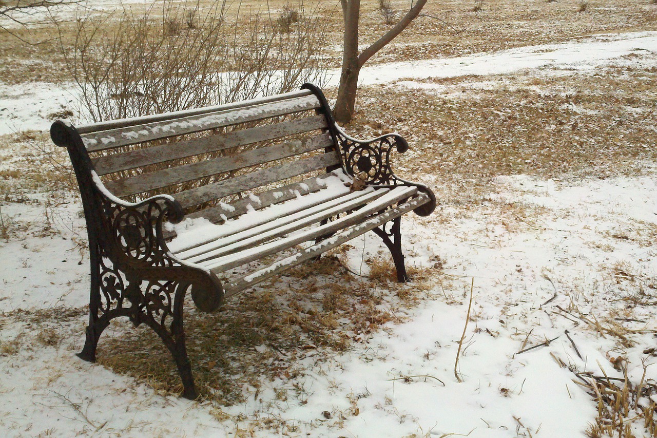 bench park snow free photo