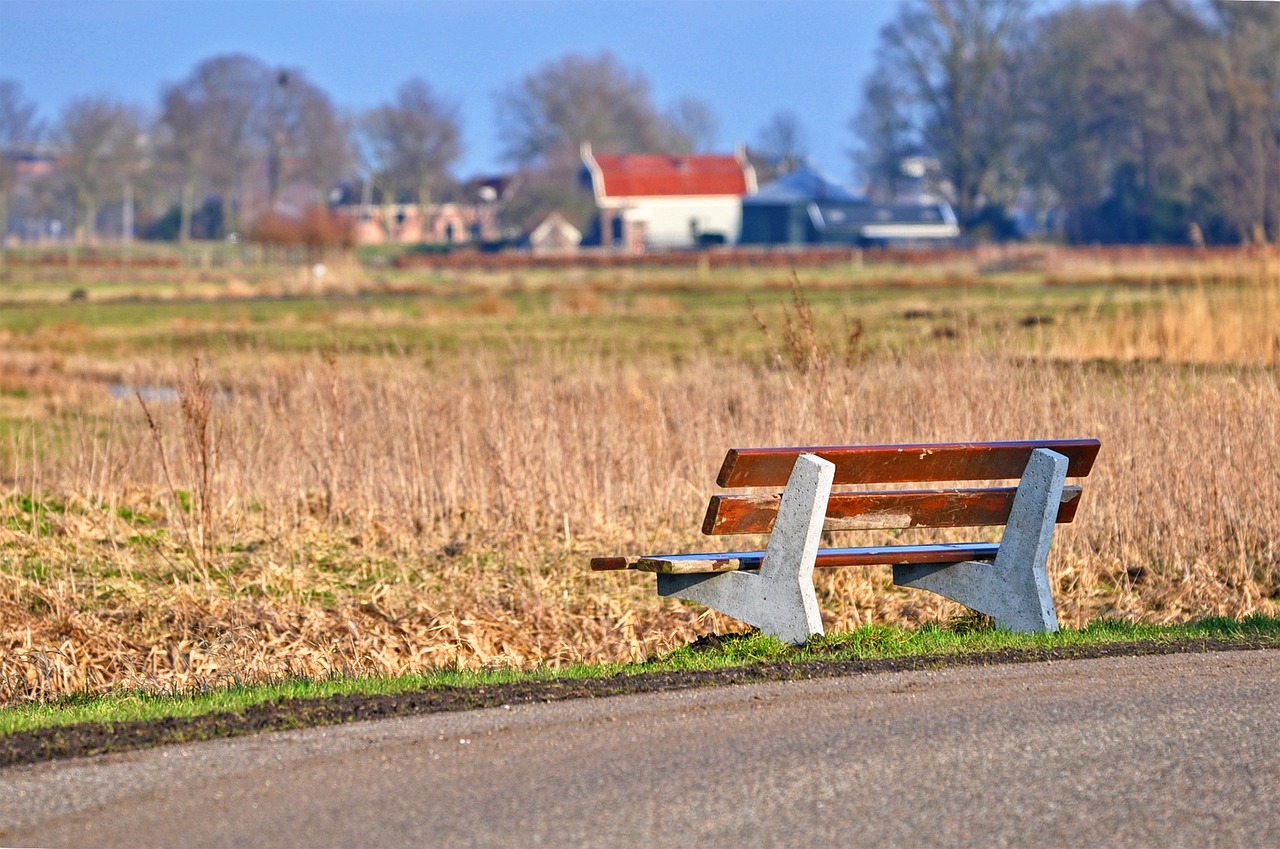 bench wooden bench seat free photo