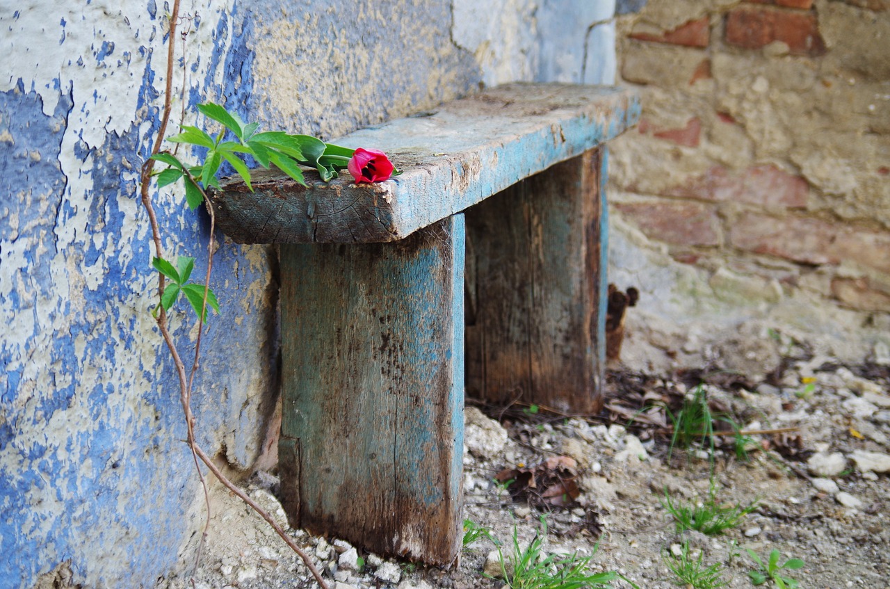 bench  old  odratá free photo