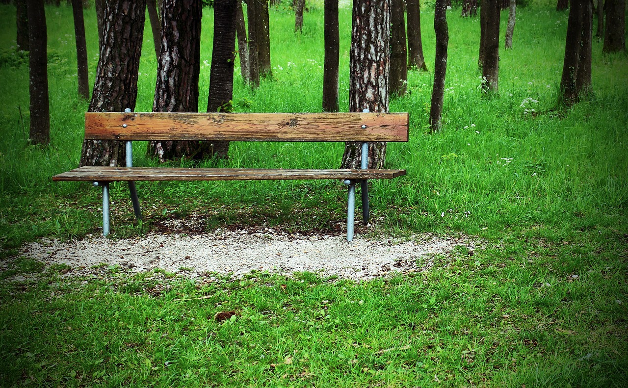 bench bank forest free photo