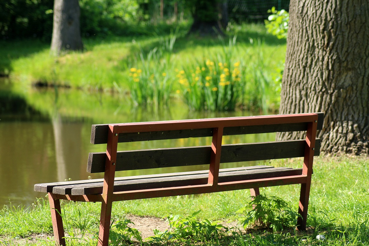 bench  nature  rest free photo