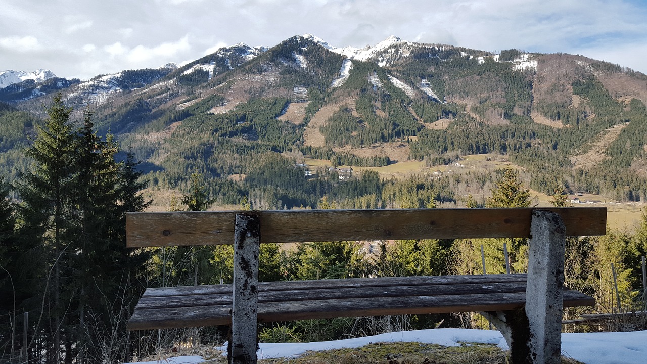 bench  views  nature free photo