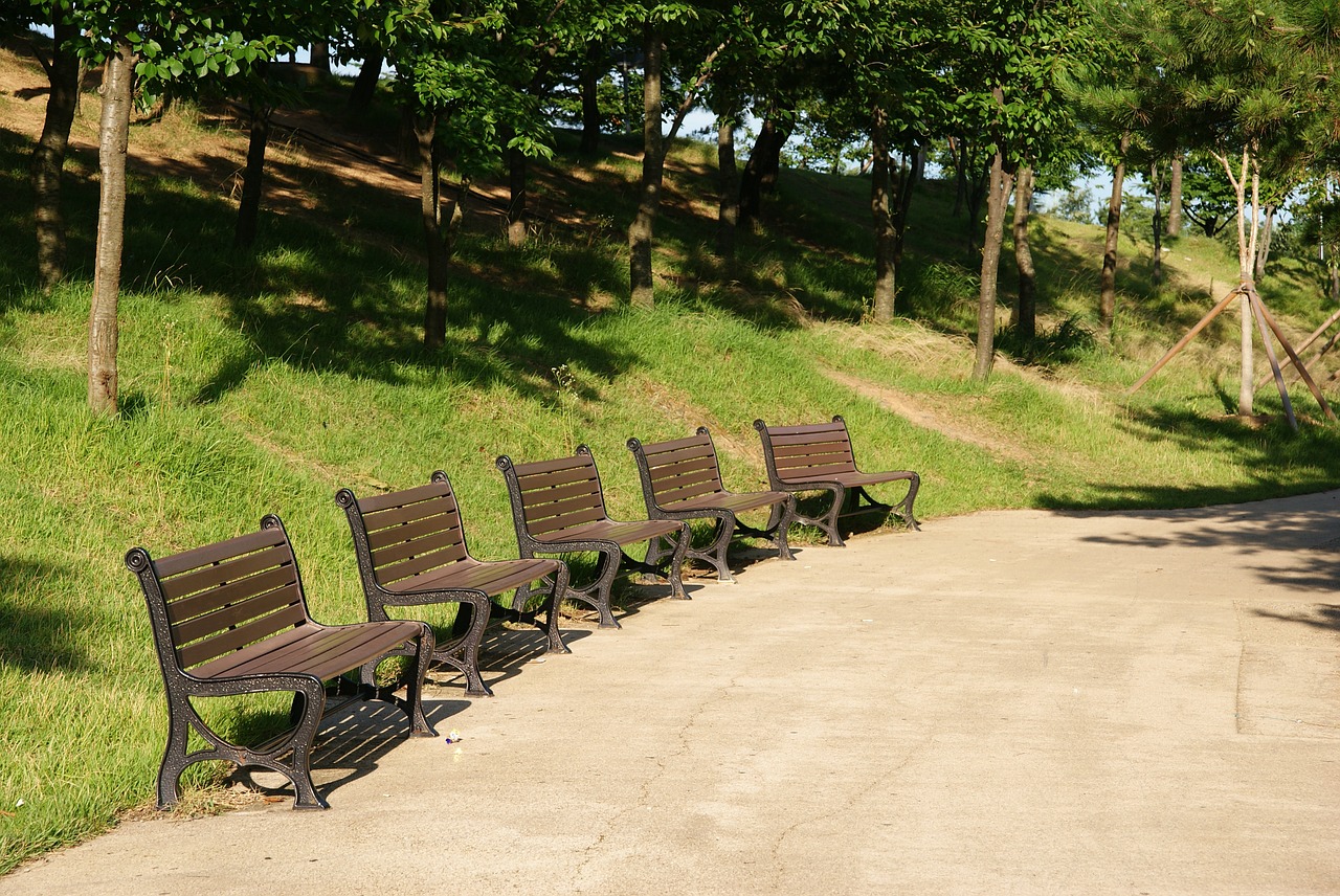 bench chair forest free photo