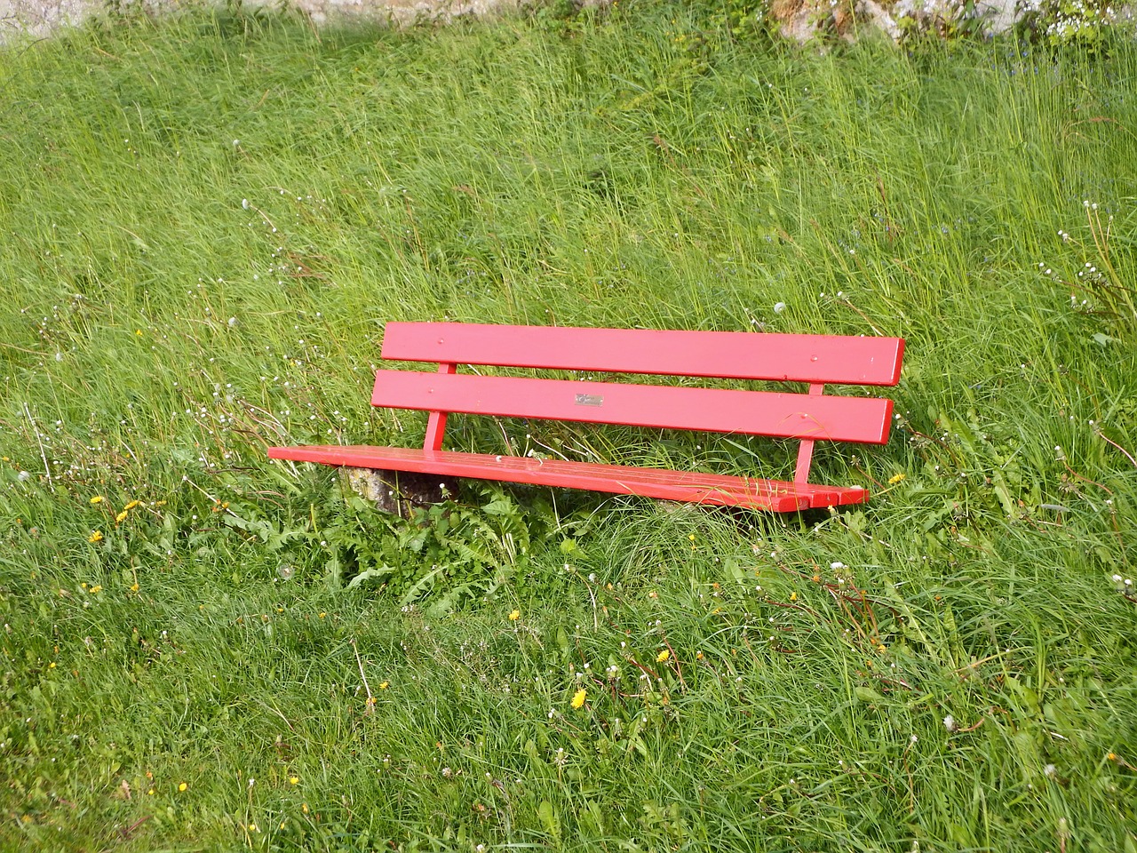 bench meadow grass free photo