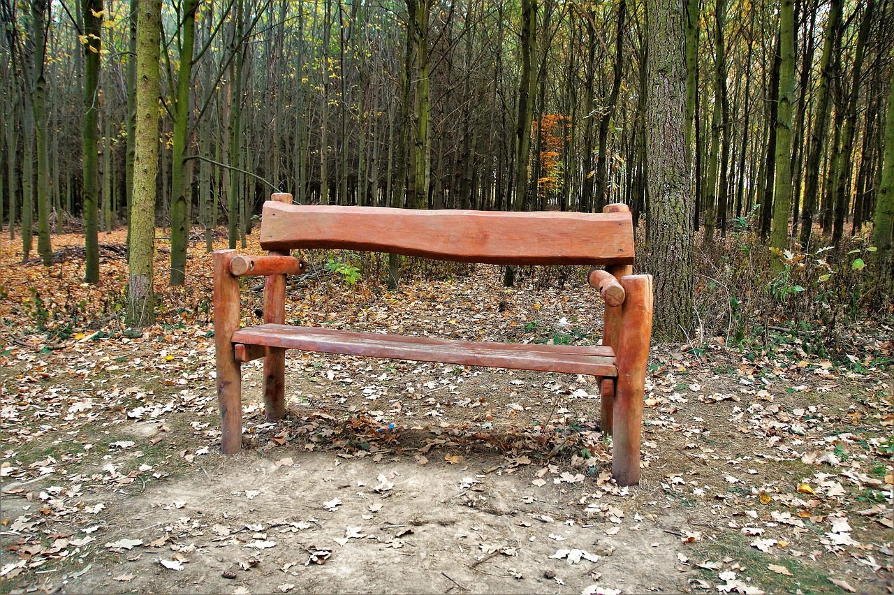 bench  wooden  lone free photo
