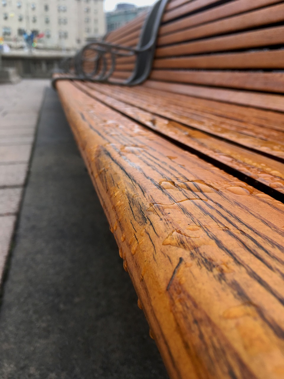 bench  rain  water free photo