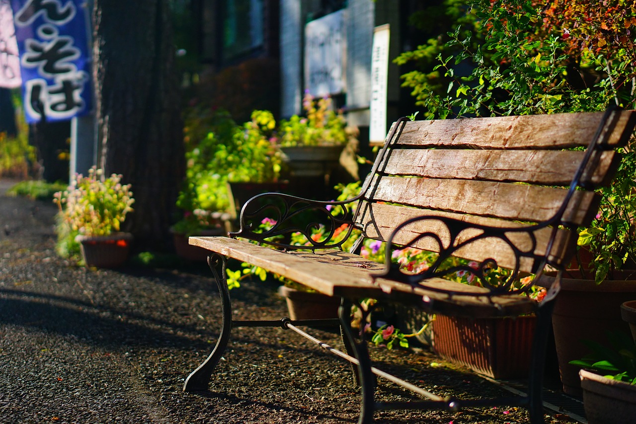 bench  at dusk  landscape free photo