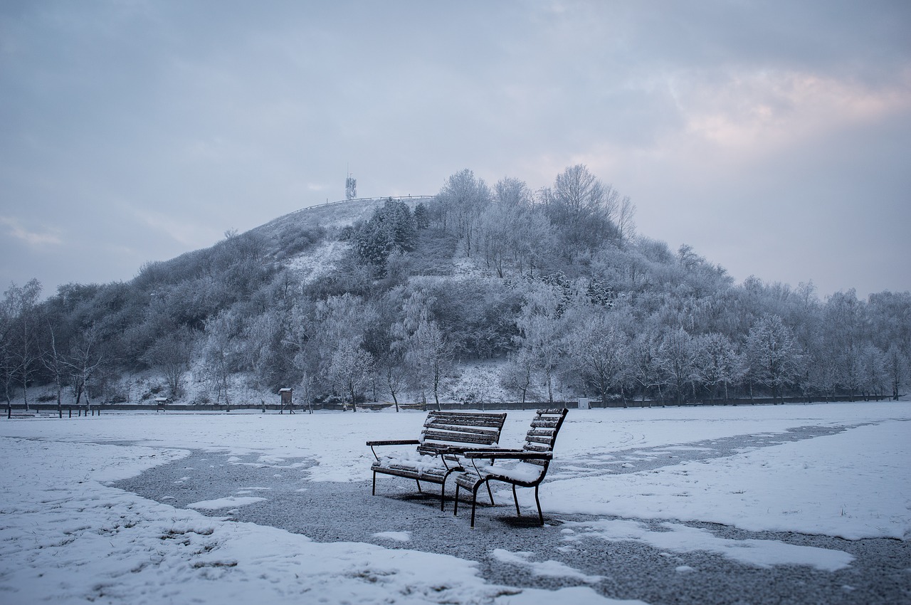 bench  winter  blue free photo