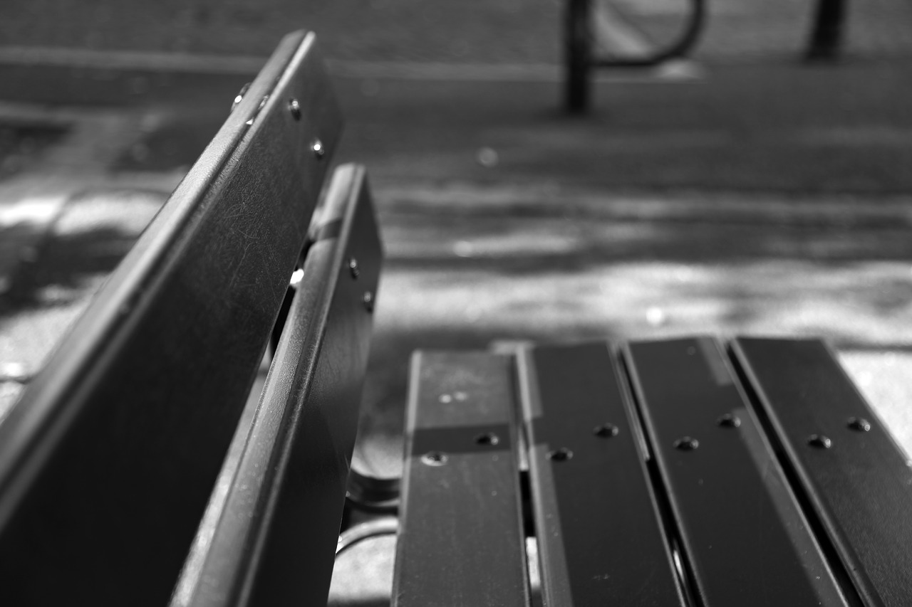 bench  black  white free photo