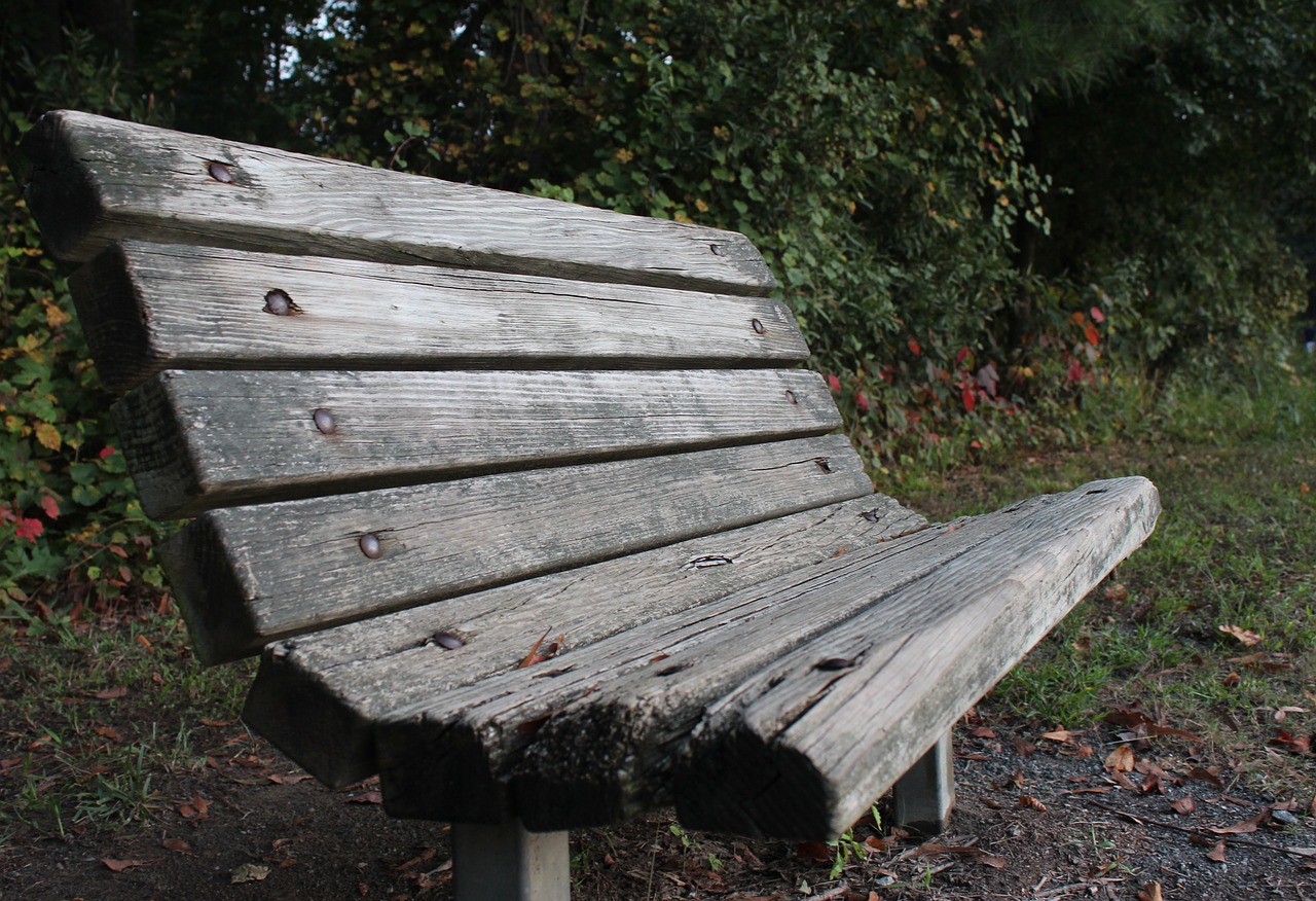 bench  relax  wood free photo