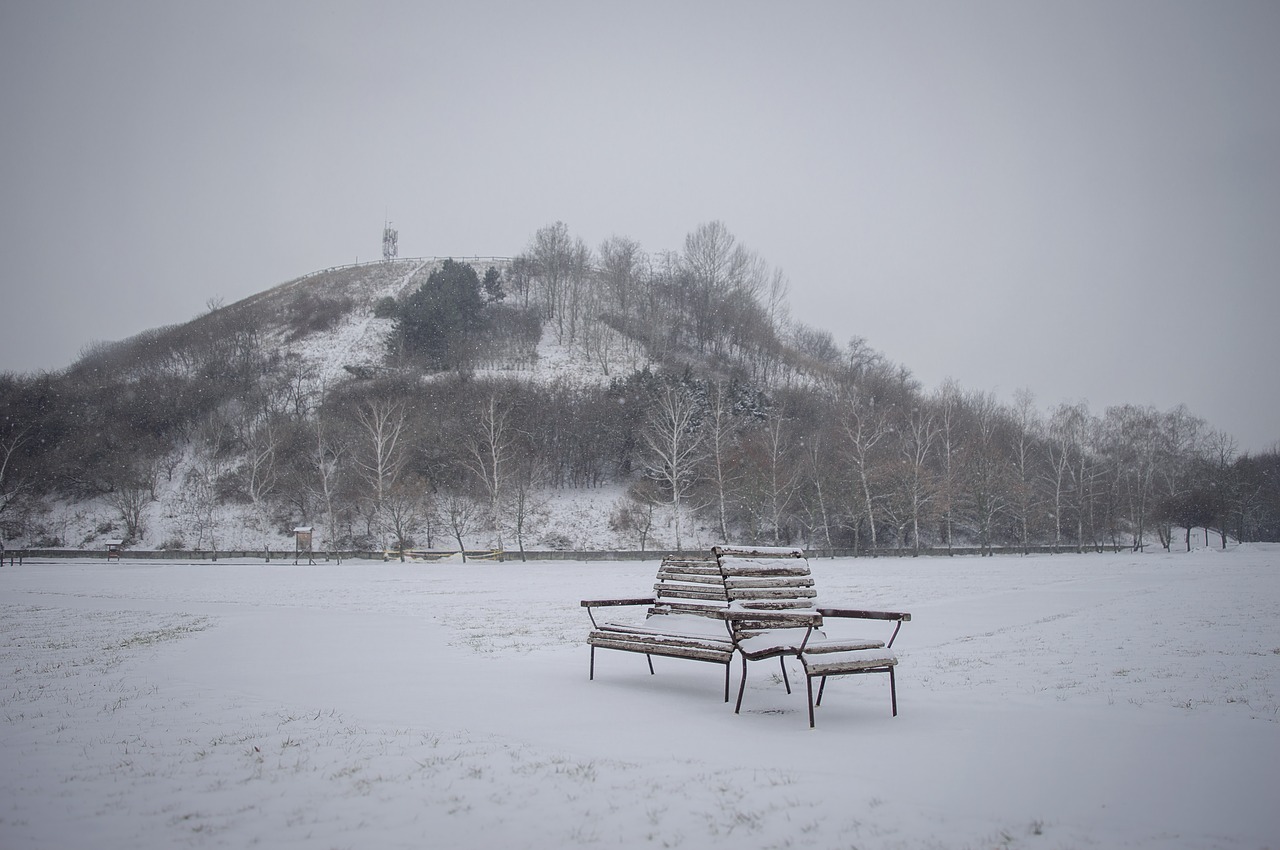 bench  snow  winter free photo