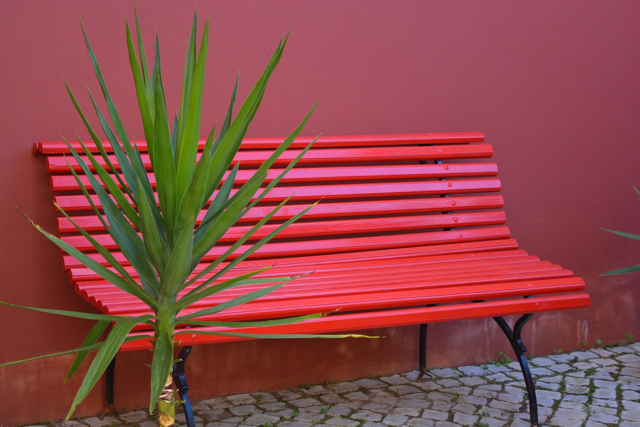 bench  red  green plant free photo