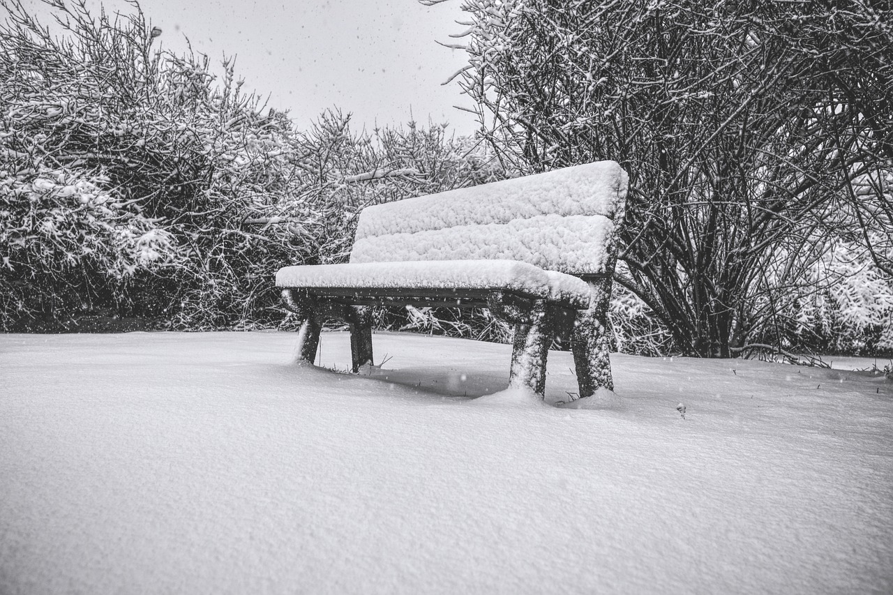 bench  snow  winter free photo