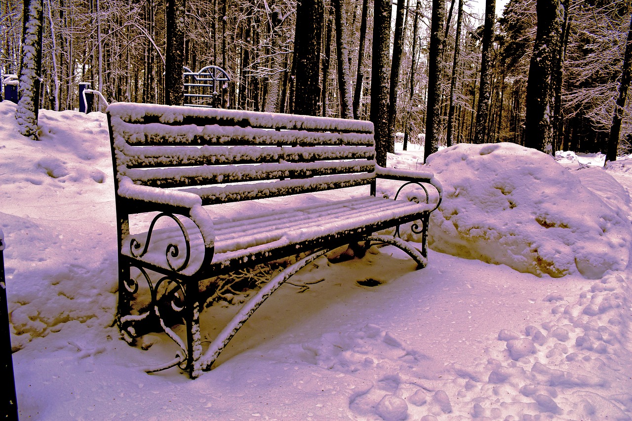 bench  winter  snow free photo