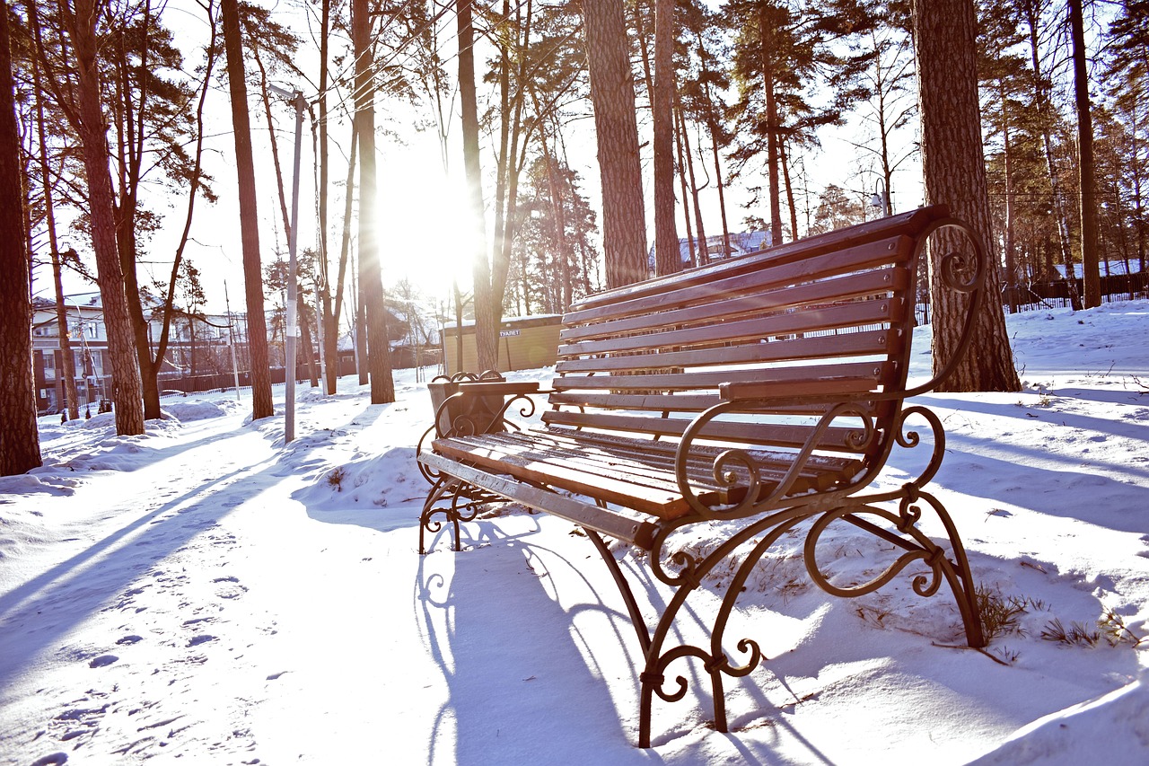 bench  morning  winter free photo