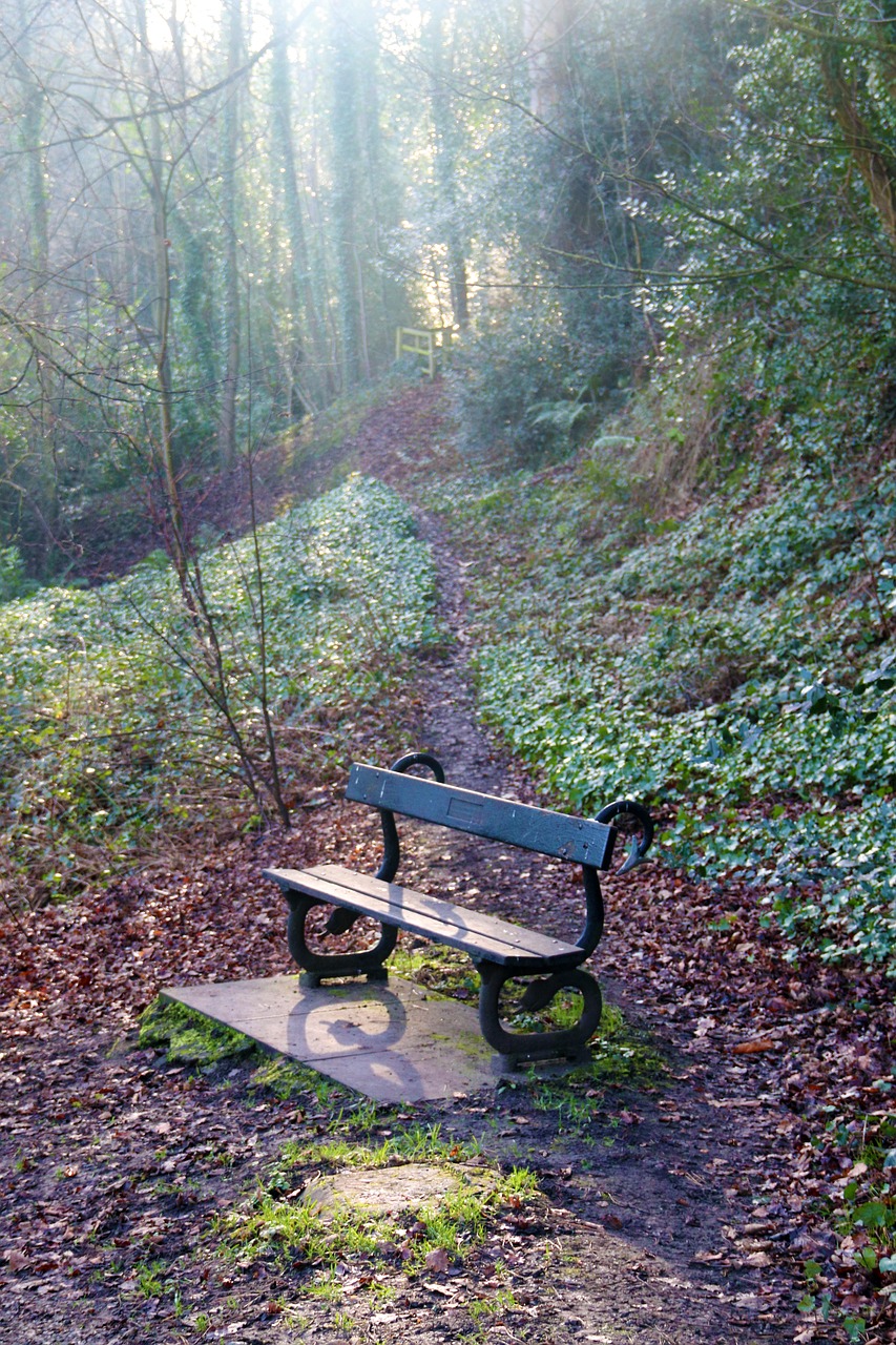 bench  wood  rest free photo