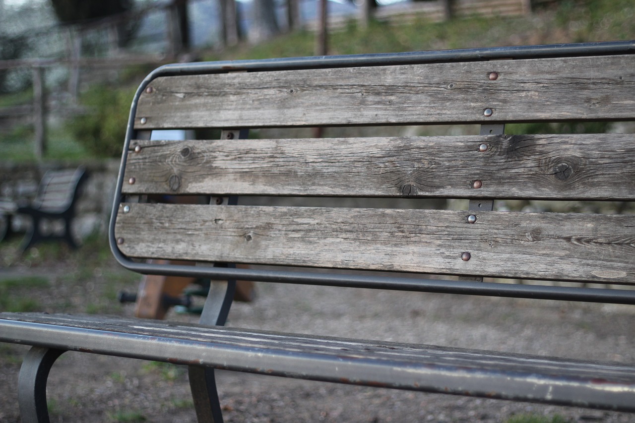 bench  seat  relax free photo