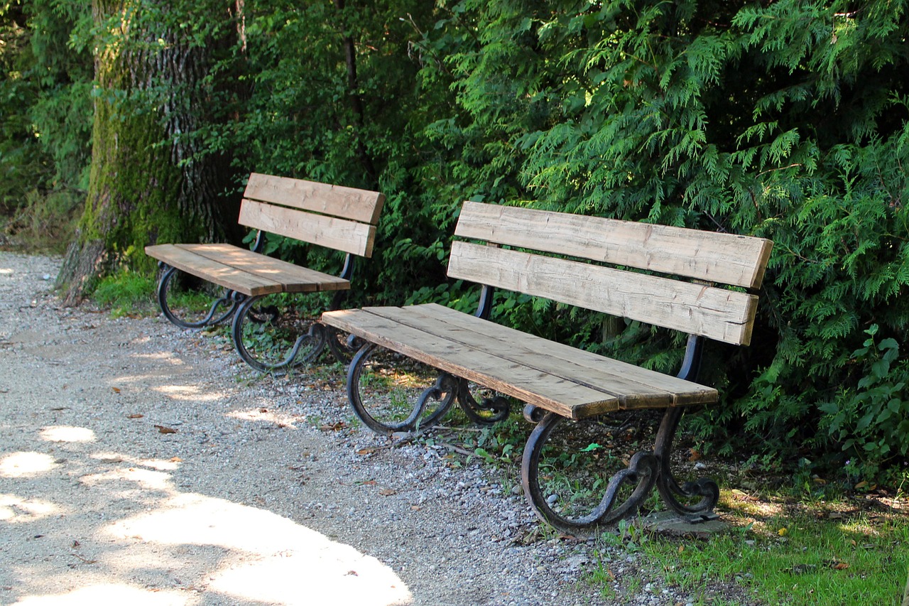 bench benches bank free photo