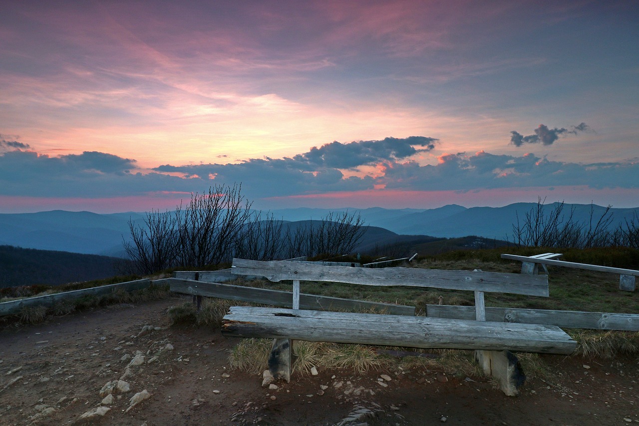 bench  sky  nature free photo