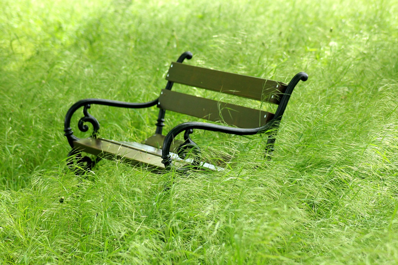 bench  grass  green free photo
