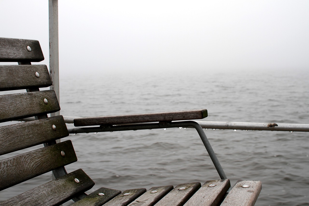 bench  a jetty  fog free photo