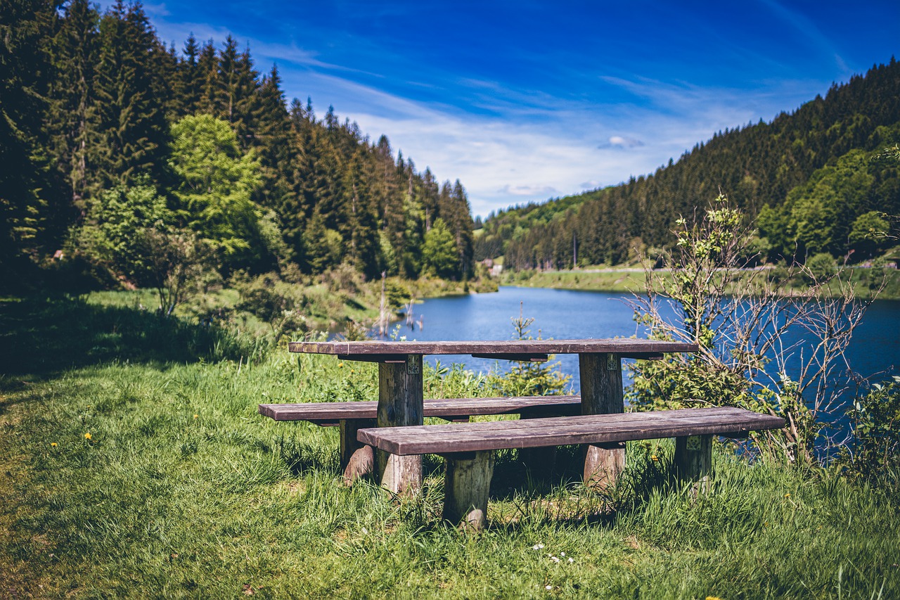 bench  lake  spring free photo