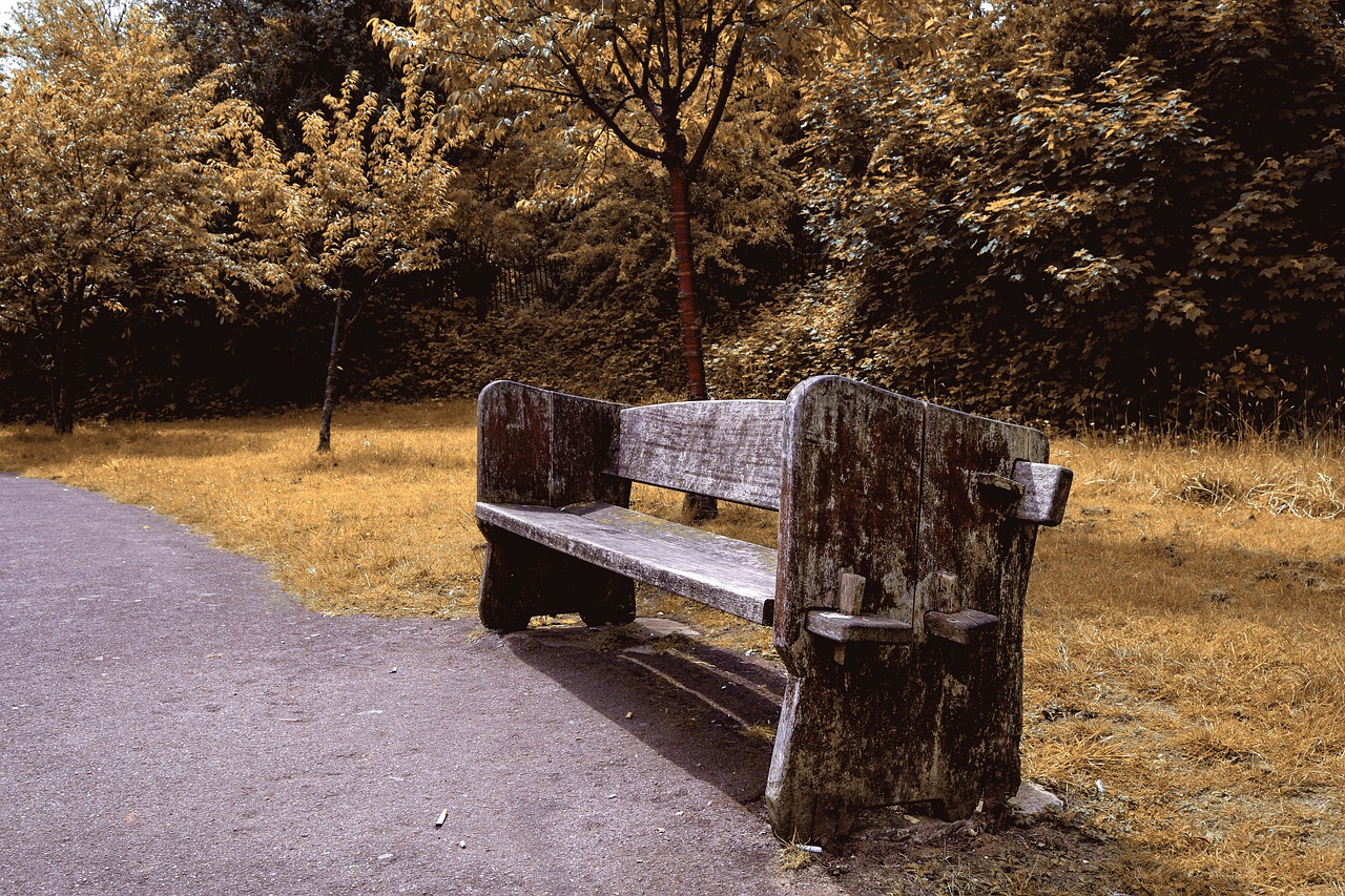 bench  park  wooden bench free photo