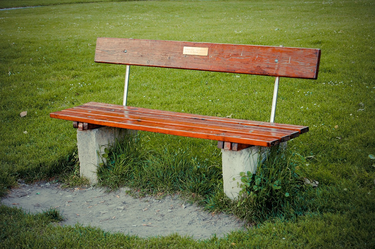 bench park sit free photo