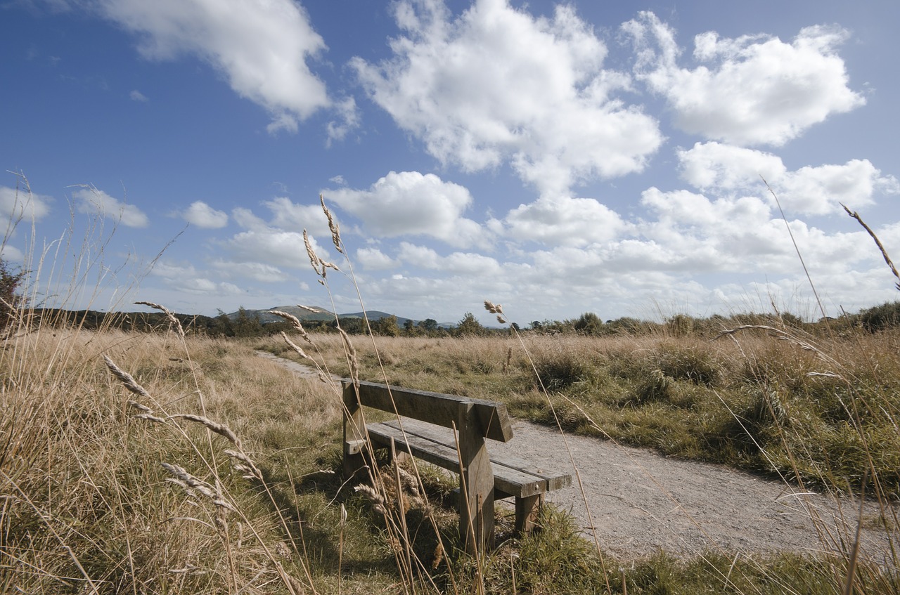 bench landscape sky free photo