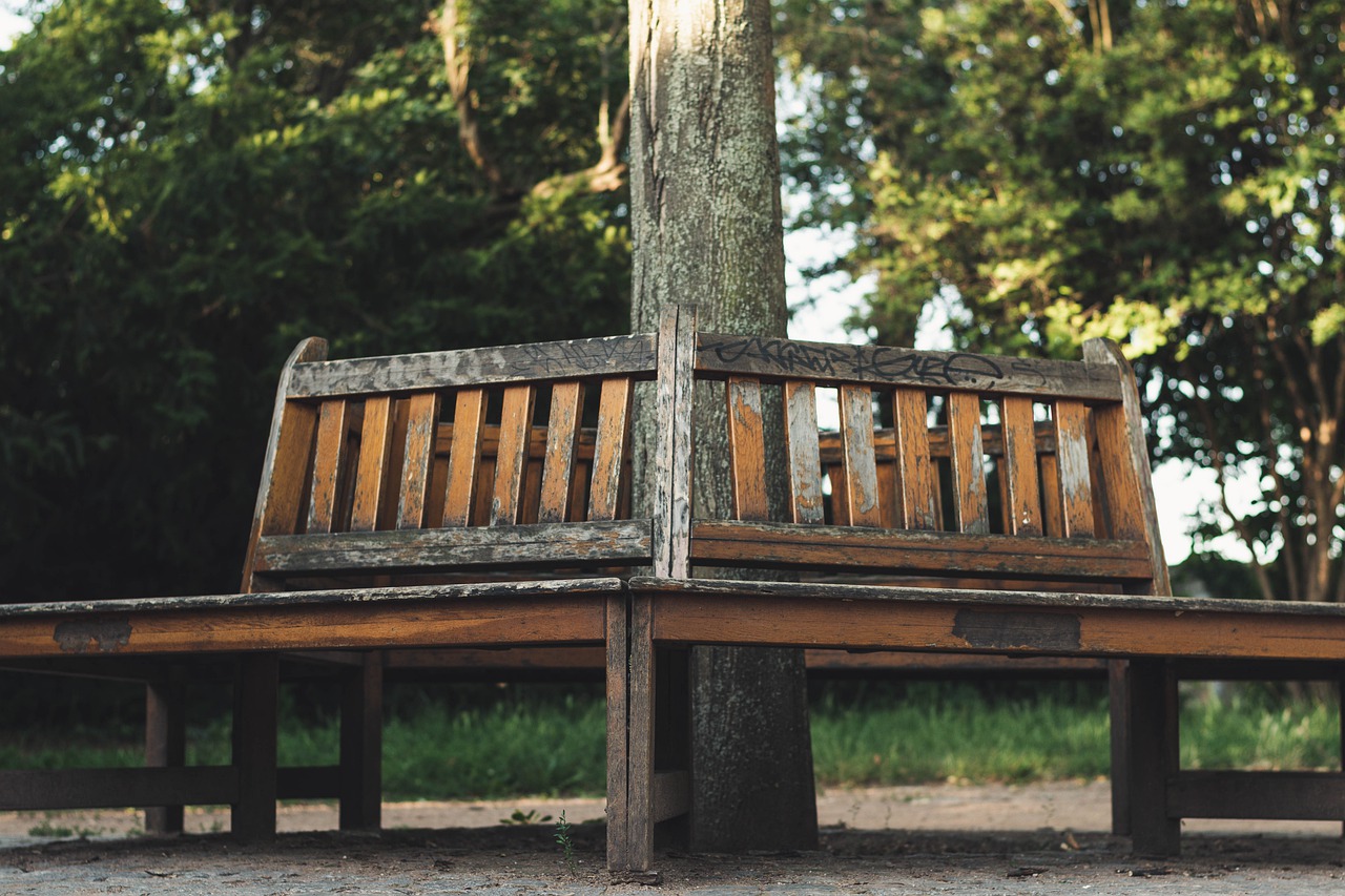 bench  park  nature free photo