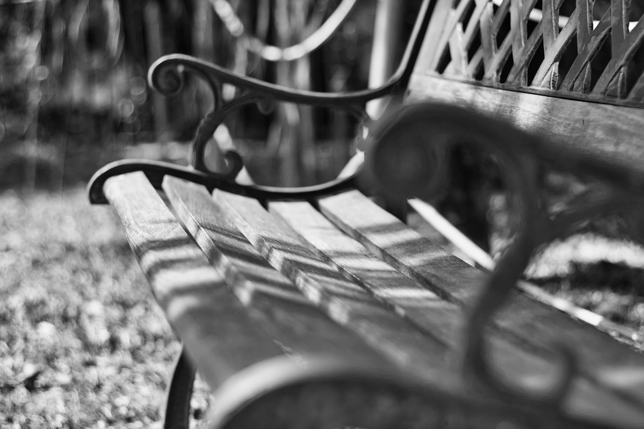 bench  park  rest free photo