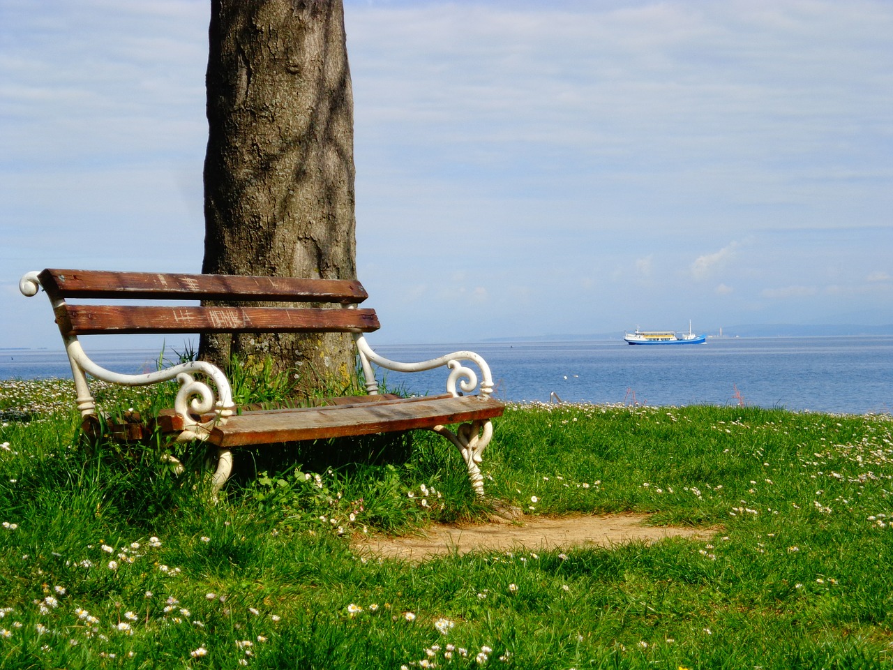 bench sea prato free photo