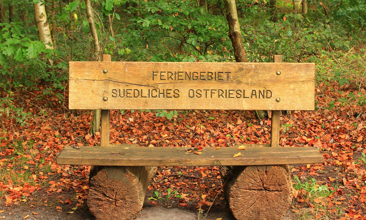 bench bank forest free photo