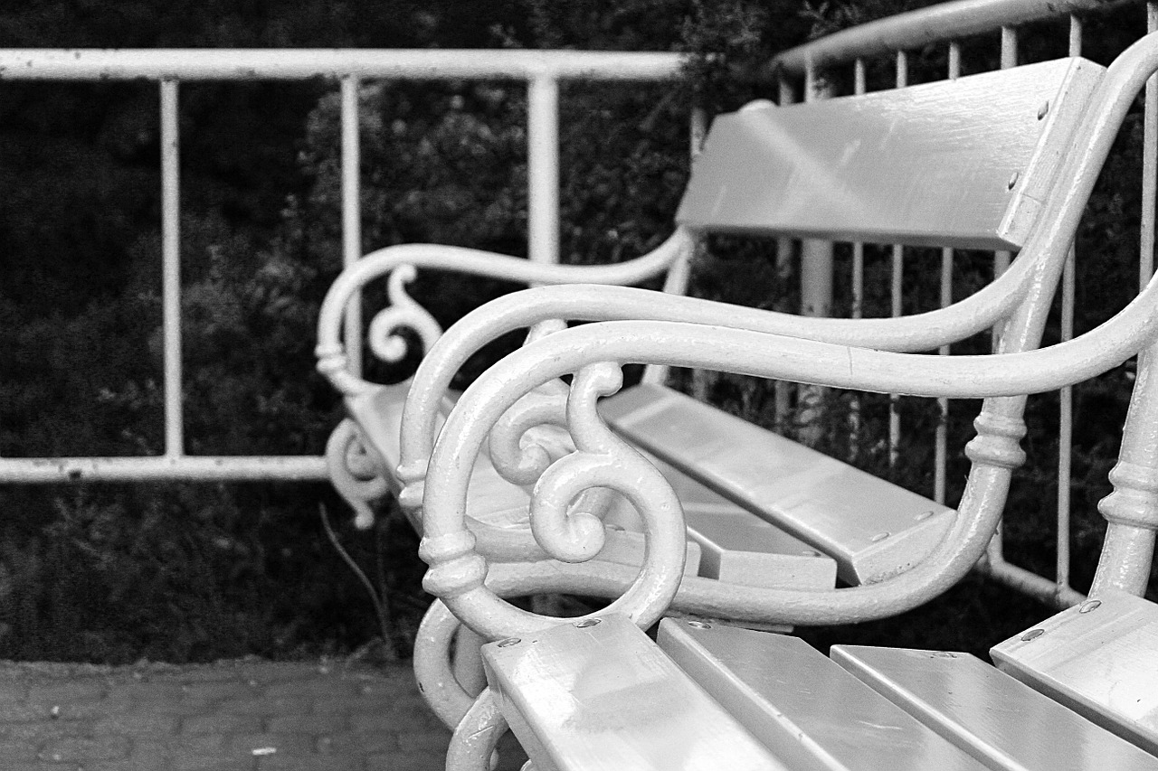 bench b w photography black and white free photo